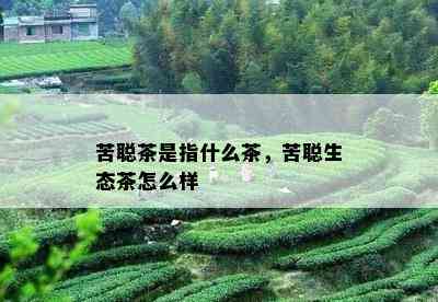 苦聪茶是指什么茶，苦聪生态茶怎么样