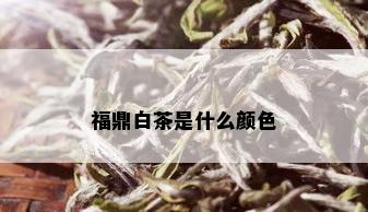 福鼎白茶是什么颜色