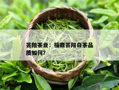 芸阳茶业：福鼎芸阳白茶品质如何？