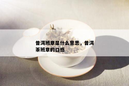 普洱班章是什么意思，普洱茶班章的口感