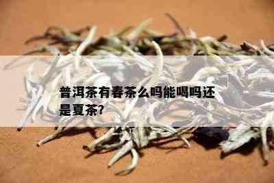 普洱茶有春茶么吗能喝吗还是夏茶？