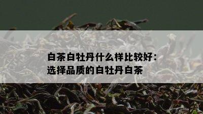 白茶白牡丹什么样比较好：选择品质的白牡丹白茶