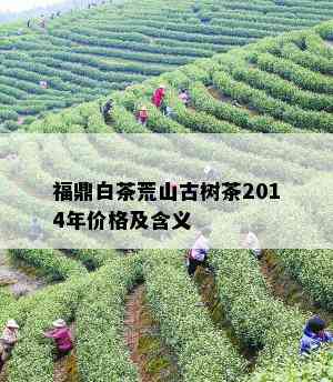 福鼎白茶荒山古树茶2014年价格及含义