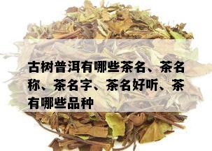 古树普洱有哪些茶名、茶名称、茶名字、茶名好听、茶有哪些品种