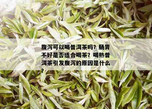 腹泻可以喝普洱茶吗？肠胃不好是否适合喝茶？喝熟普洱茶引发腹泻的原因是什么？