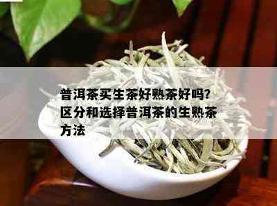 普洱茶买生茶好熟茶好吗？区分和选择普洱茶的生熟茶方法