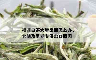 福鼎白茶大量出库怎么办，仓储及早期专供出口原因