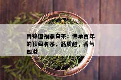 青锦道福鼎白茶：传承百年的顶级名茶，品质越，香气四溢