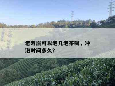 老寿眉可以泡几泡茶喝，冲泡时间多久？