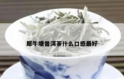 犀牛塘普洱茶什么口感更好