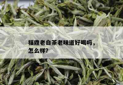 福鼎老白茶老味道好喝吗，怎么样？