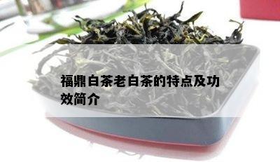 福鼎白茶老白茶的特点及功效简介