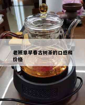 老班章早春古树茶的口感和价格