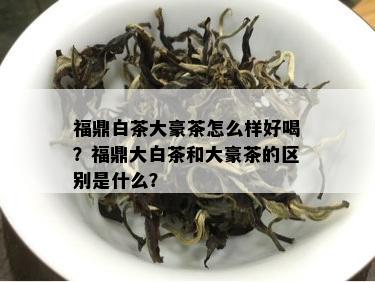 福鼎白茶大豪茶怎么样好喝？福鼎大白茶和大豪茶的区别是什么？