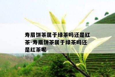 寿眉饼茶属于绿茶吗还是红茶-寿眉饼茶属于绿茶吗还是红茶呢