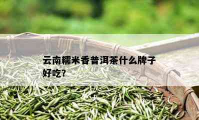 云南糯米香普洱茶什么牌子好吃？