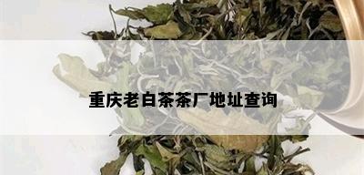 重庆老白茶茶厂地址查询