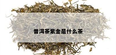 普洱茶紫金是什么茶