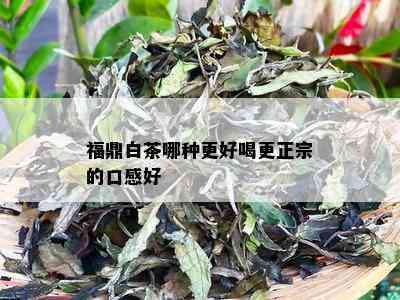 福鼎白茶哪种更好喝更正宗的口感好