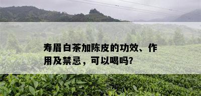 寿眉白茶加陈皮的功效、作用及禁忌，可以喝吗？