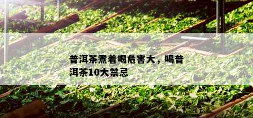 普洱茶煮着喝危害大，喝普洱茶10大禁忌