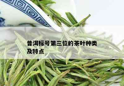 普洱标号第三位的茶叶种类及特点