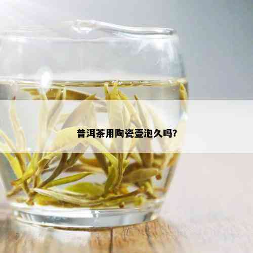 普洱茶用陶瓷壶泡久吗？