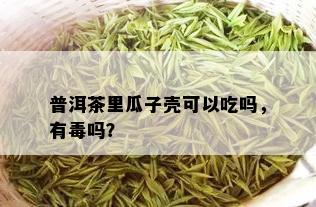 普洱茶里瓜子壳可以吃吗，有吗？