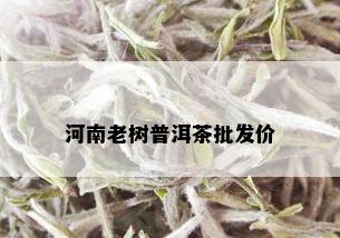 河南老树普洱茶批发价