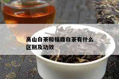 高山白茶和福鼎白茶有什么区别及功效