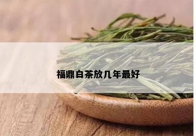 福鼎白茶放几年更好