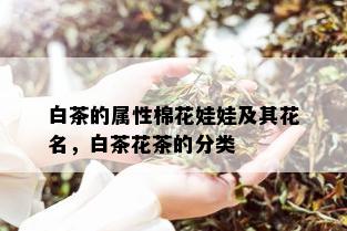 白茶的属性棉花娃娃及其花名，白茶花茶的分类