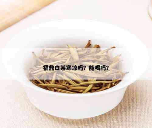 福鼎白茶寒凉吗？能喝吗？