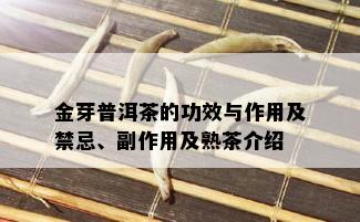 金芽普洱茶的功效与作用及禁忌、副作用及熟茶介绍