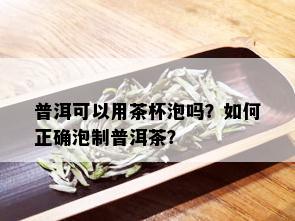 普洱可以用茶杯泡吗？如何正确泡制普洱茶？