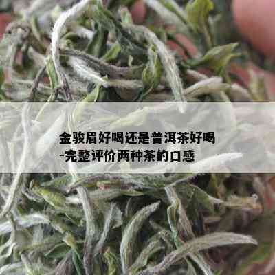 金骏眉好喝还是普洱茶好喝-完整评价两种茶的口感