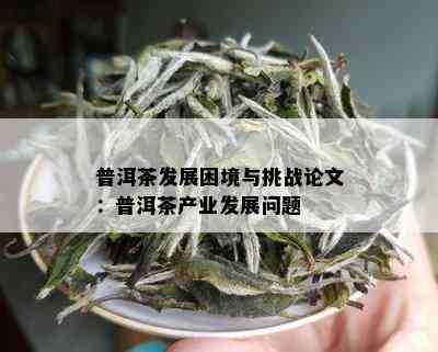 普洱茶发展困境与挑战论文：普洱茶产业发展问题