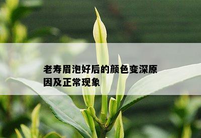 老寿眉泡好后的颜色变深原因及正常现象