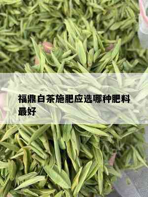 福鼎白茶施肥应选哪种肥料更好