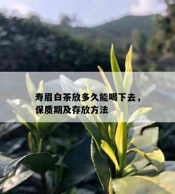 寿眉白茶放多久能喝下去，保质期及存放方法