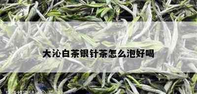 大沁白茶银针茶怎么泡好喝