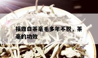 福鼎白茶毫毛多年不脱，茶毫的功效