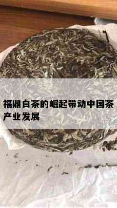 福鼎白茶的崛起带动中国茶产业发展