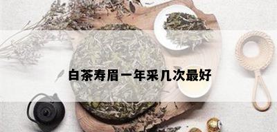 白茶寿眉一年采几次更好