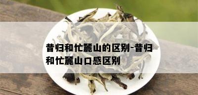 昔归和忙麓山的区别-昔归和忙麓山口感区别