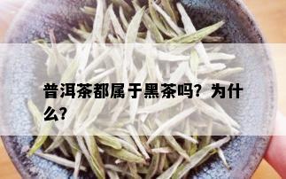 普洱茶都属于黑茶吗？为什么？