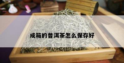 成箱的普洱茶怎么保存好