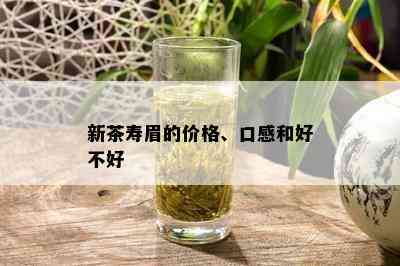 新茶寿眉的价格、口感和好不好