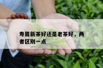 寿眉新茶好还是老茶好，两者区别一点