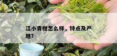 江小青柑怎么样，特点及产地？